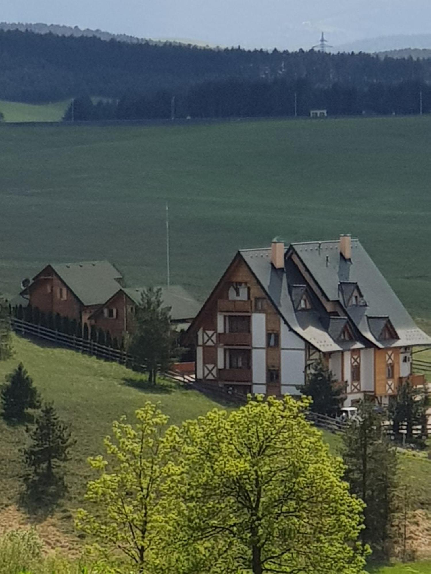 Villa Brvnare Bor Zlatibor Esterno foto