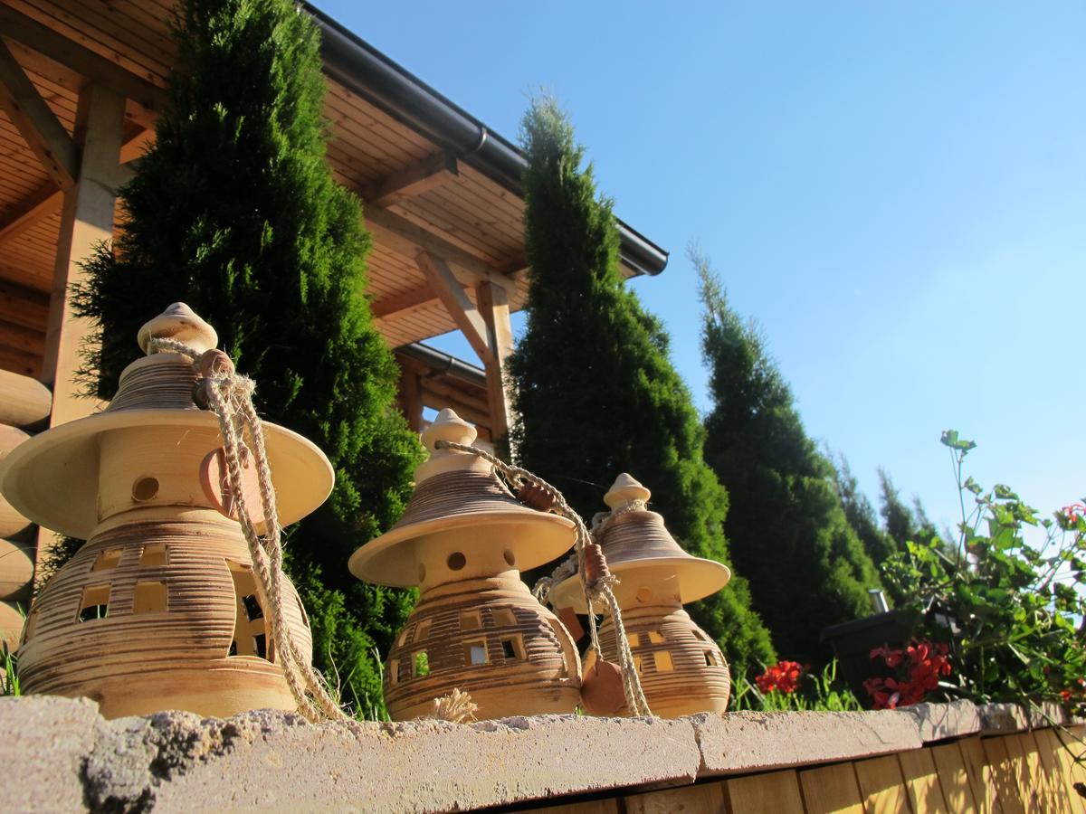 Villa Brvnare Bor Zlatibor Esterno foto